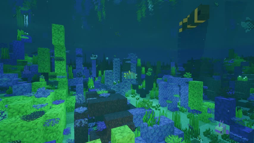 A coral reef with tropical fish